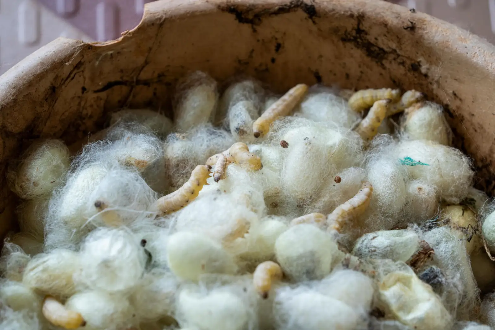 广州服装批发零售市场趋势与供应链优化策略分析