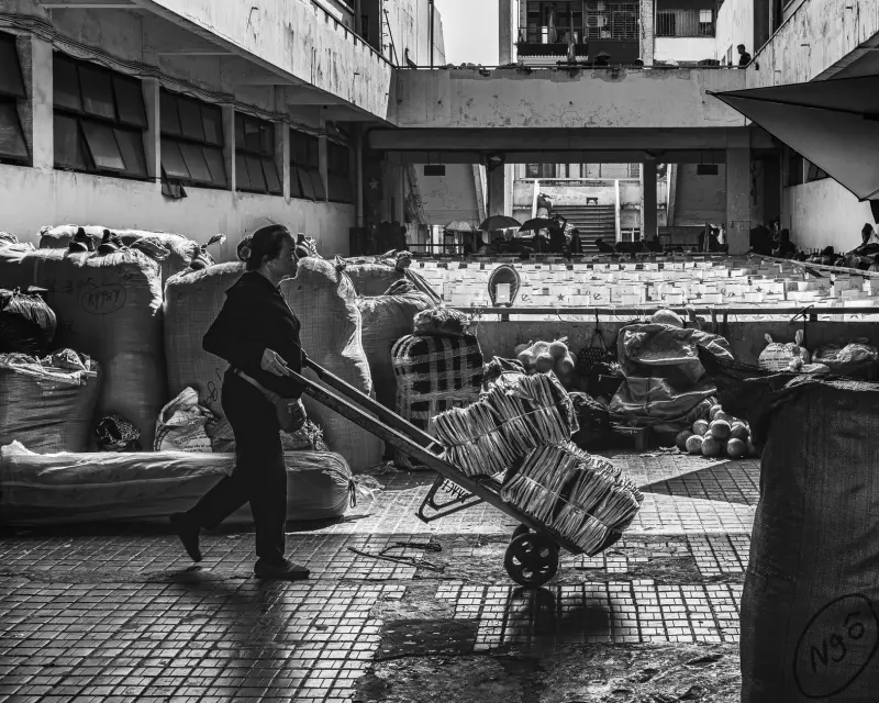广州服装批发市场热销品类趋势解析：从有品服饰看2024秋冬选品策略
